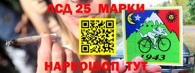 прущие грибы Малгобек