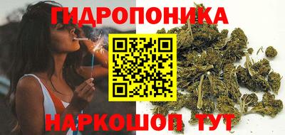 прущие грибы Малгобек