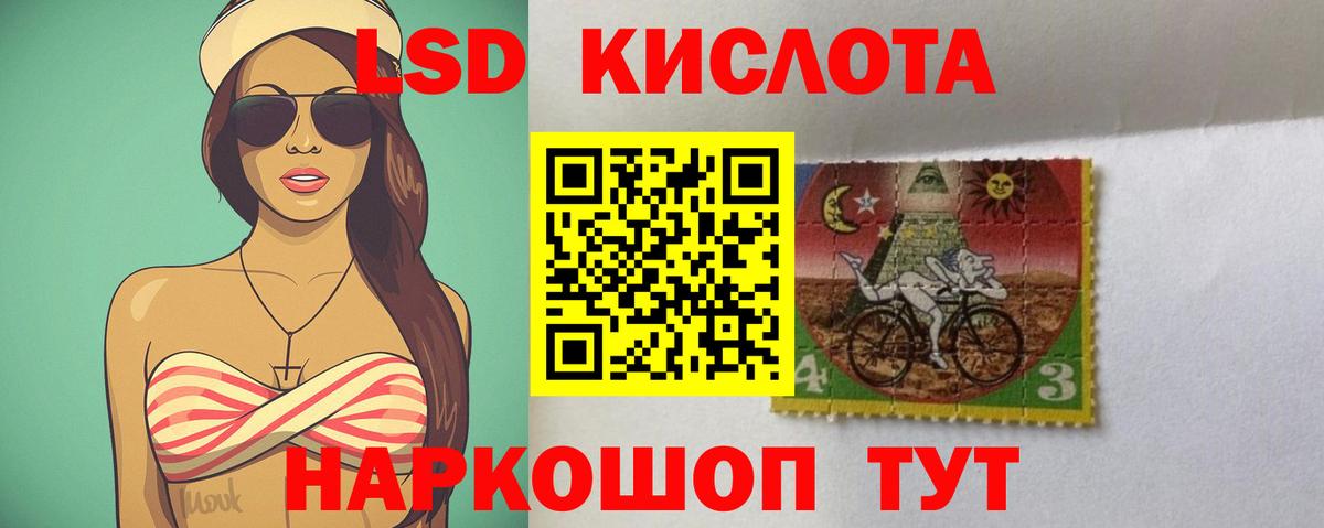 Псилоцибиновые грибы Владимир