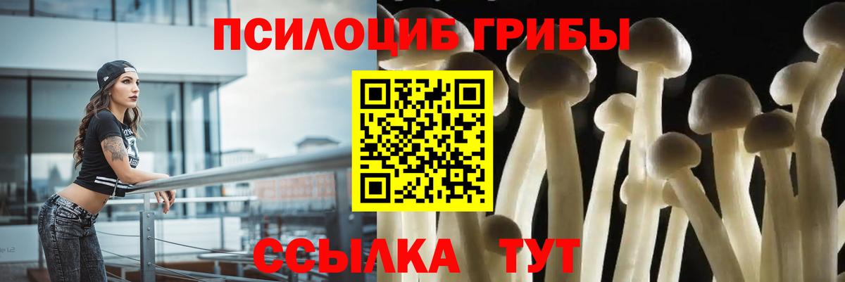 Галлюциногенные грибы Magic Shrooms  Вход с VPN  Галлюциногенные грибы Psilocybe  Владимир 